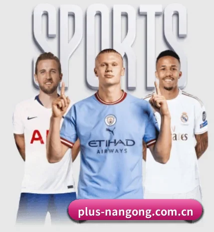 plus-nangong.com.cn围绕看球场景设计的核心服务