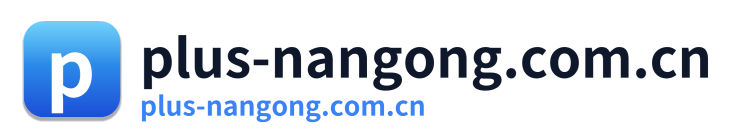 plus-nangong.com.cn Logo